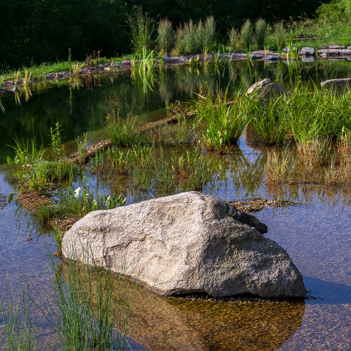 Piscines Naturelles : Alternatives Écologiques aux Bassins
