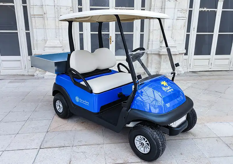 ORA-E-CARS