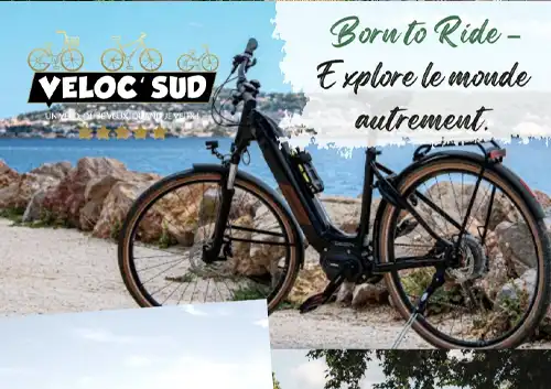 VELOC SUD
